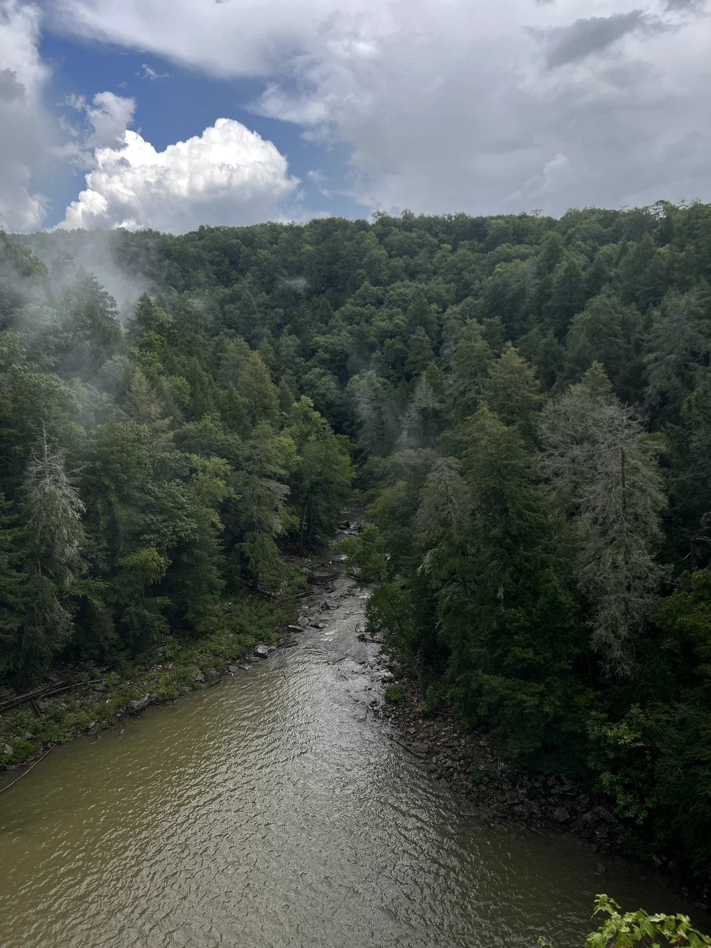 River widening in forest in Fall Creek Falls state park