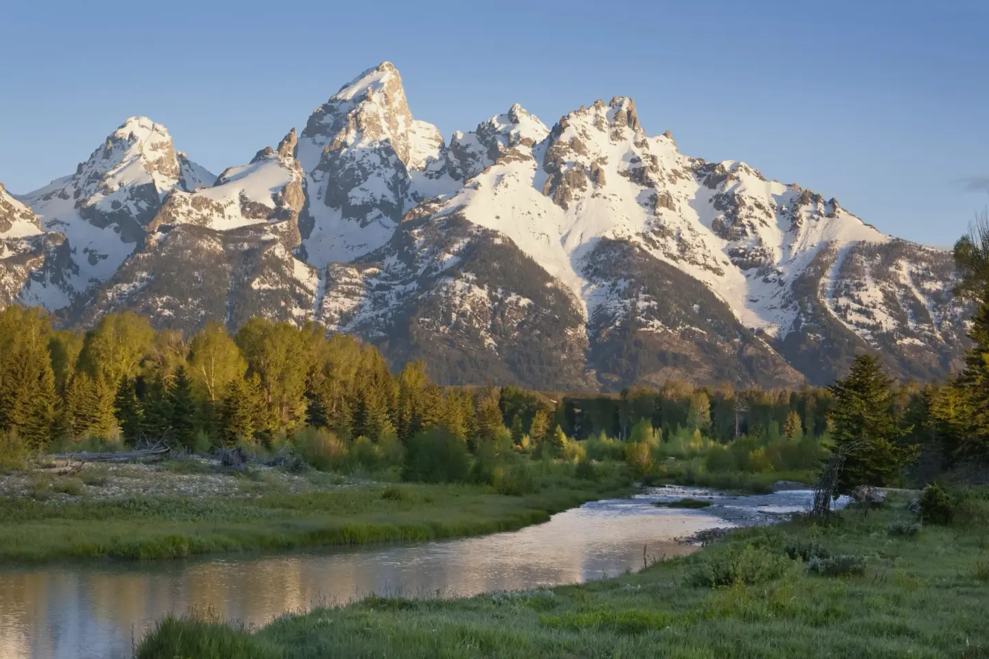 Stream at the edge of a forest in front of the Grand Teton mountains